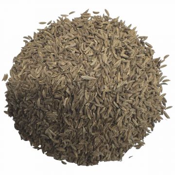 Caraway Seed, Whole, 1 lb